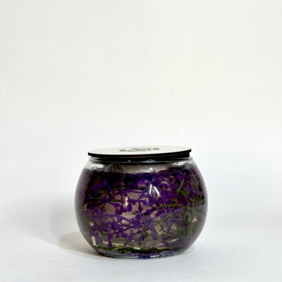 Pompeia Candle pure Lavender